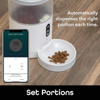 3 Liter Pet Feeder For Daily Indoor Feeding