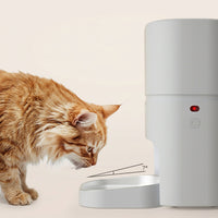 Automatic cat and dog feeder with large