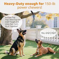 Tree stump tug-of-war outdoor dog toy with bungee cord and chew rope.