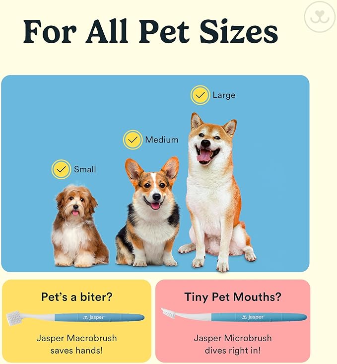 Portable pet toothbrush kit for dogs, cats, puppies, and kittens