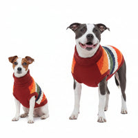 harness-hole-dog-sweater