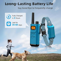 Water Resistant Dog Training Collar With Remote Control