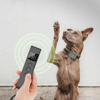 Rechargeable dog training collar