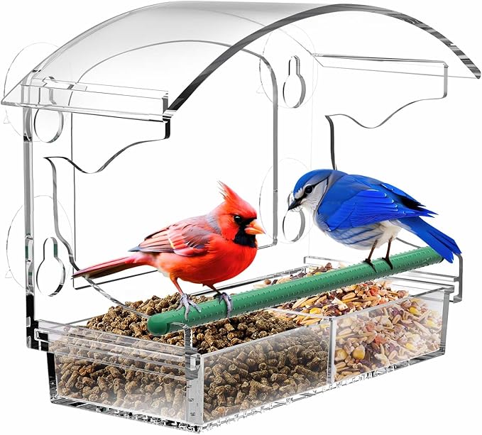 Clear acrylic window bird feeder with suction cup mount