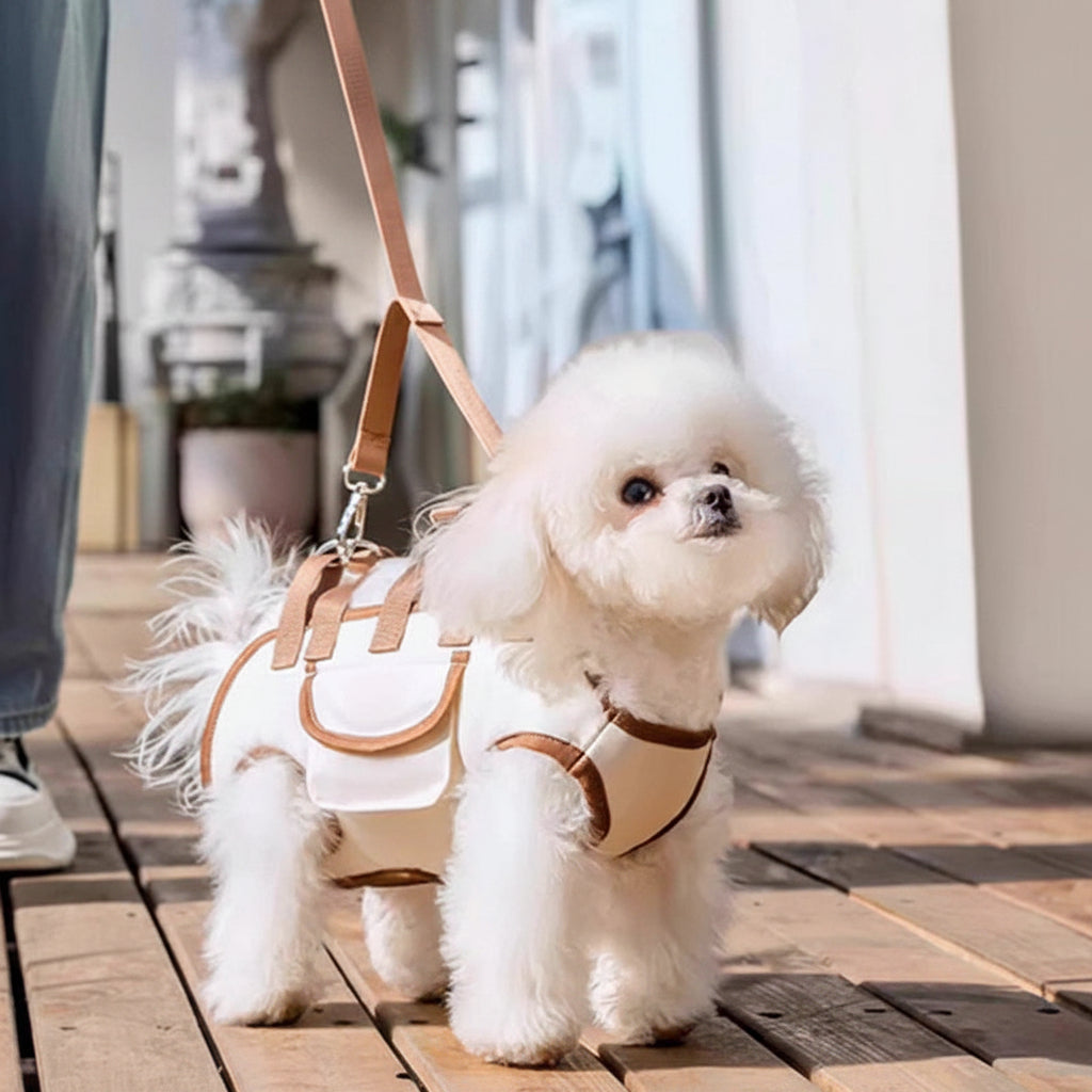 Adjustable dog and cat carrier sling bag