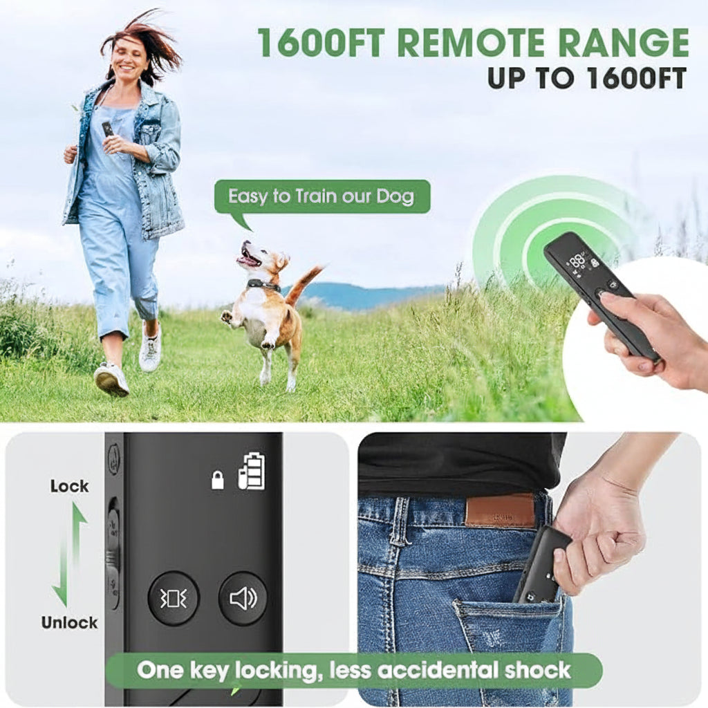 Adjustable Dog Collar Device For Supervised Training Activities