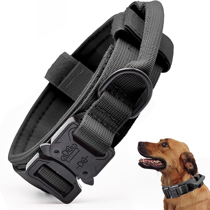 Adjustable black dog collar with built-in handle and metal buckle