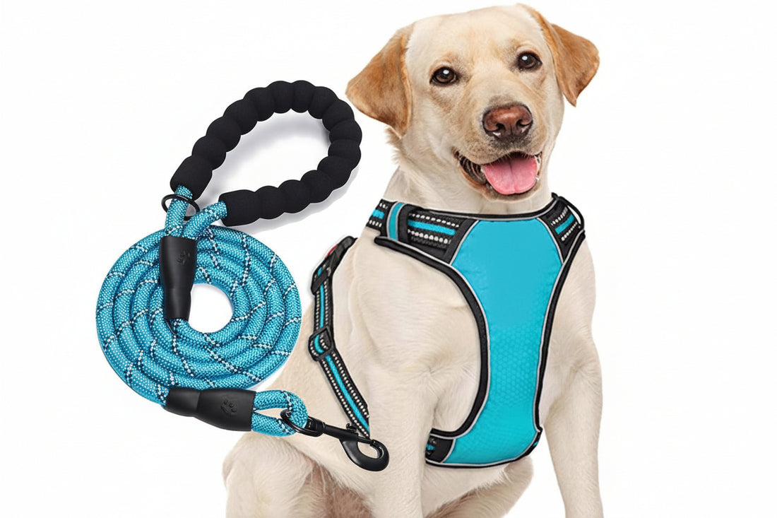Adjustable dog harness with reflective-style straps and 5 ft leash