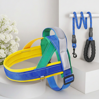 Adjustable dog harness and leash set for small and medium dogs