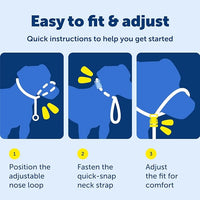 Adjustable dog walking headcollar with padded nose loop