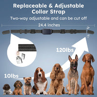 Adjustable dog training device for different dog sizes