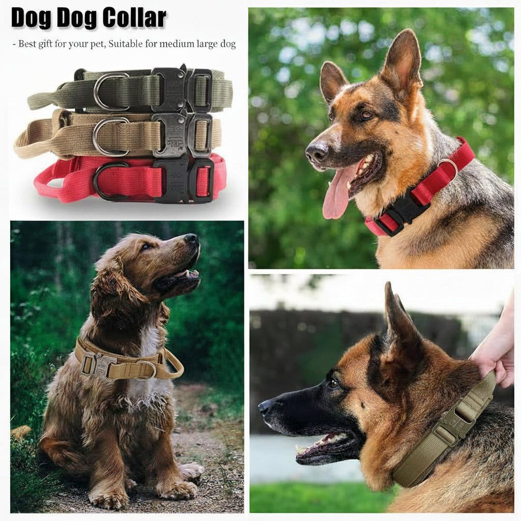 Adjustable nylon dog collar with control handle and quick-release buckle
