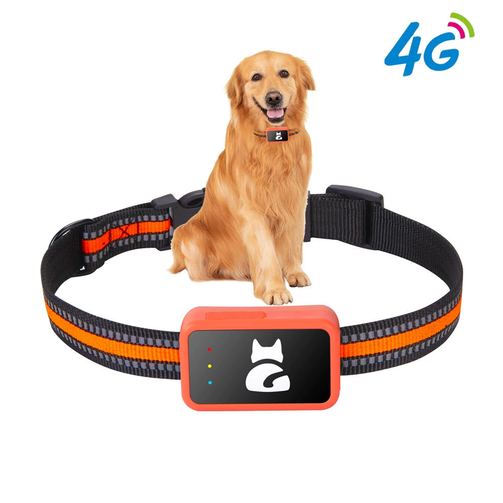 Adjustable pet collar holder for dogs and cats