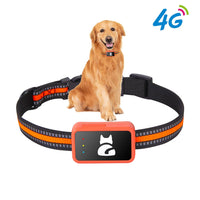 Adjustable pet collar holder for dogs and cats