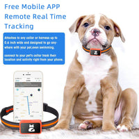 Adjustable strap collar holder for pets