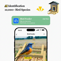 Smart Bird Feeder With Identification Feature Design