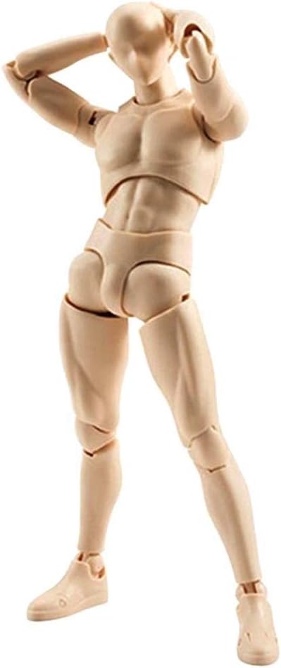 Anatomical Reference Figure for Drawing – 3D Poseable Model with Transparent Skin Tone