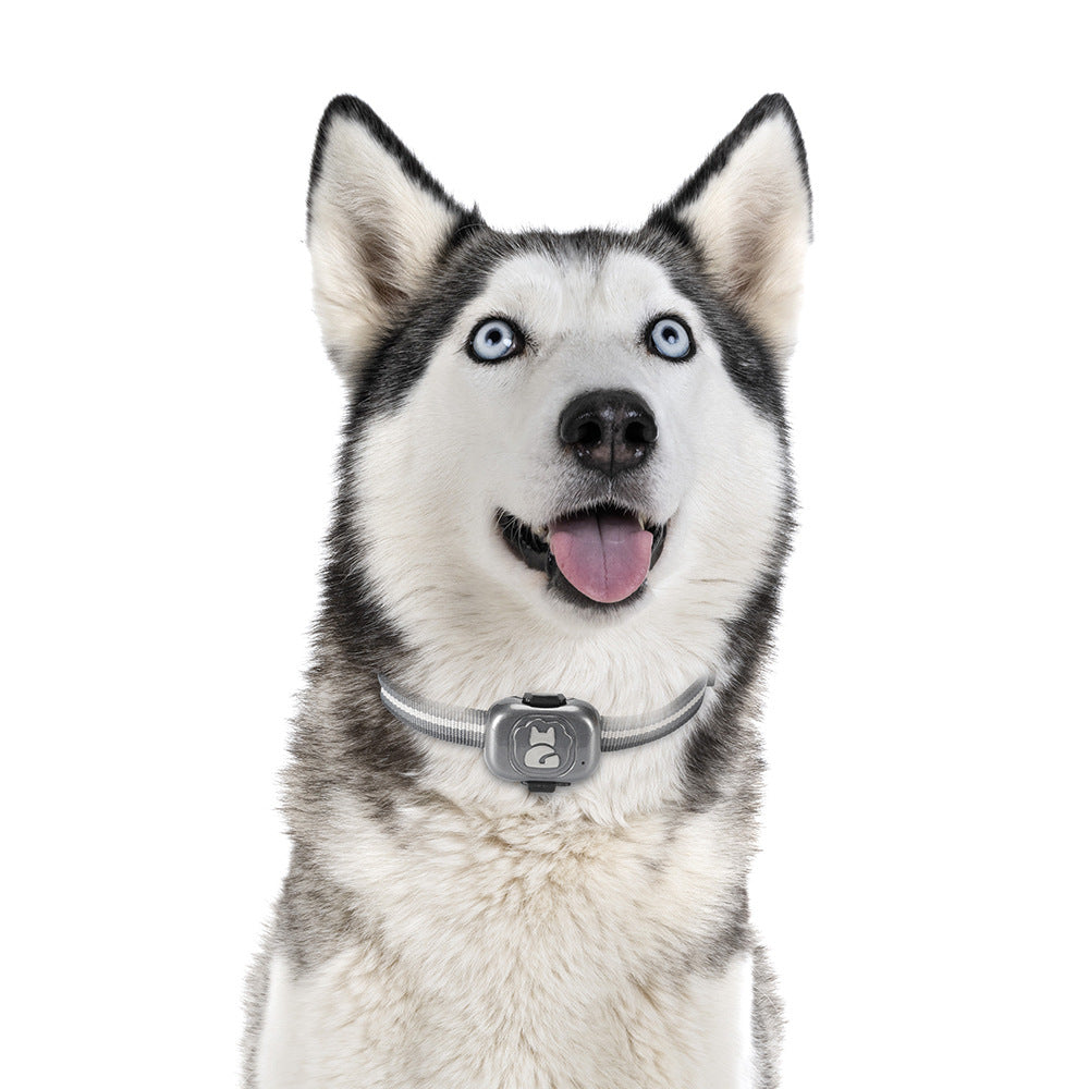 Anti-Lost GPS Pet Collar with Real-Time Location Updates