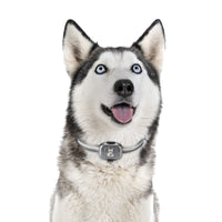 Anti-Lost GPS Pet Collar with Real-Time Location Updates