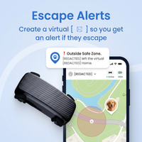 App-Based Pet Collar Location Tag for Dogs with Daily Activity View