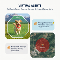 App-based location view feature for pet collar accessory