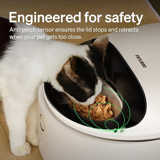 App-connected pet feeding device for indoor use