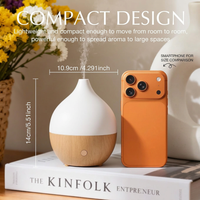 Small aroma diffuser with mist output