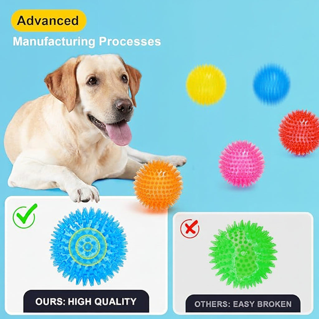 Assorted colour dog ball toy set for regular pet play