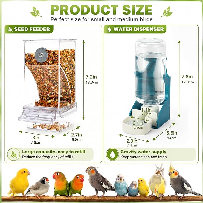 automatic bird feeder and water dispenser for indoor use