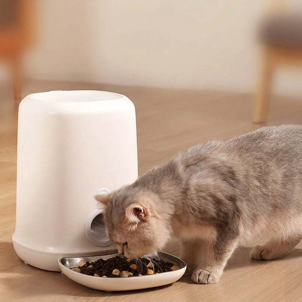 Automatic food dispenser designed for cats and dogs