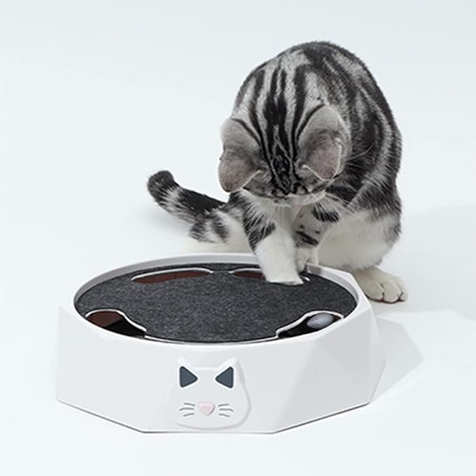 Automatic Cat Play Toy for Indoor Interactive Activities