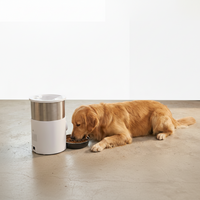 Automatic Pet Feeder with Stainless Steel Feeding Bowl