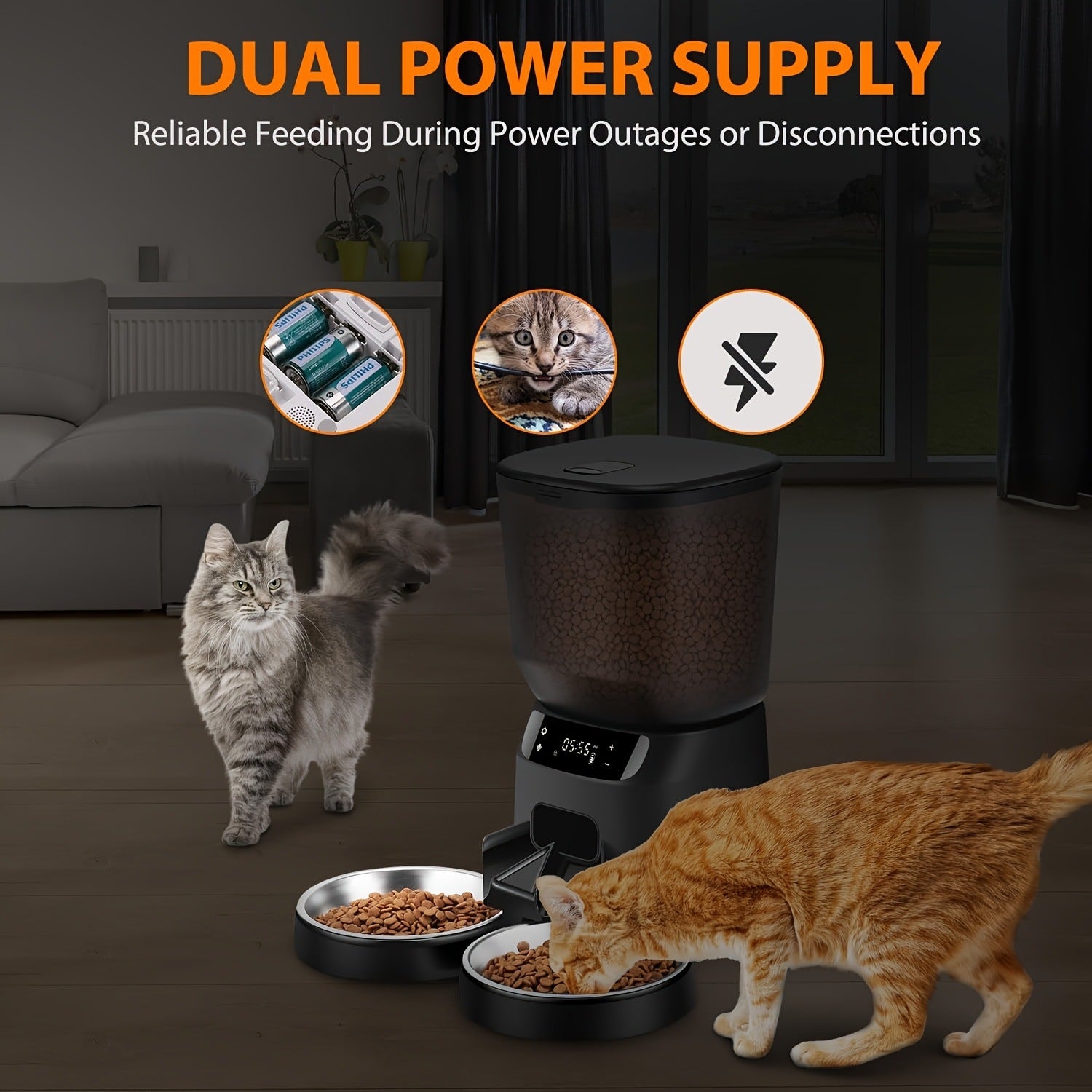 Automatic Pet Food Dispenser for Two Pets