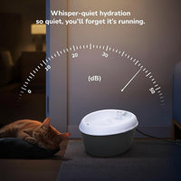 Automatic Pet Hydration Device With Compact Water Tank