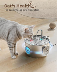 Quiet Cat Water Fountain with Continuous Flow for Indoor Cats and Small Pets