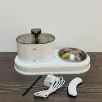 Automatic Pet Water Fountain with Circulating Water Flow