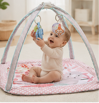 Baby activity mat with detachable hanging play toys