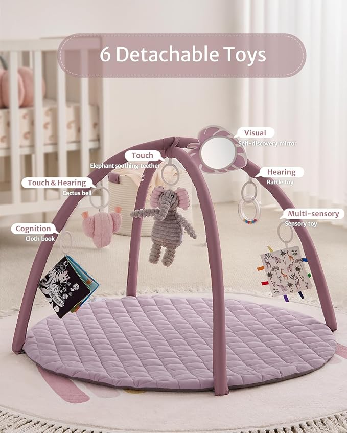 Baby sensory play gym with colorful detachable toys