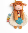 Highland Cow