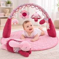 Baby sensory play gym with flower cloud and animal hanging toys