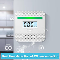 Battery powered CO detector for travel and home use