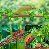 Dragon Tank Plants Artificial Hanging Decor
