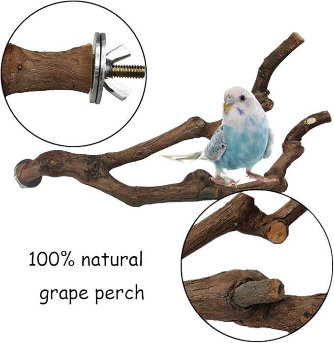 3 piece bird cage perch set for small birds