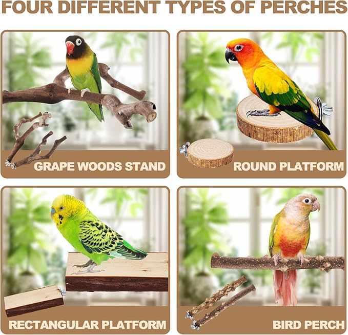 6 piece bird cage perch set for small birds