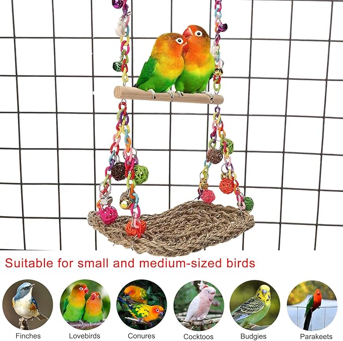bird chewing platform hammock for climbing and resting
