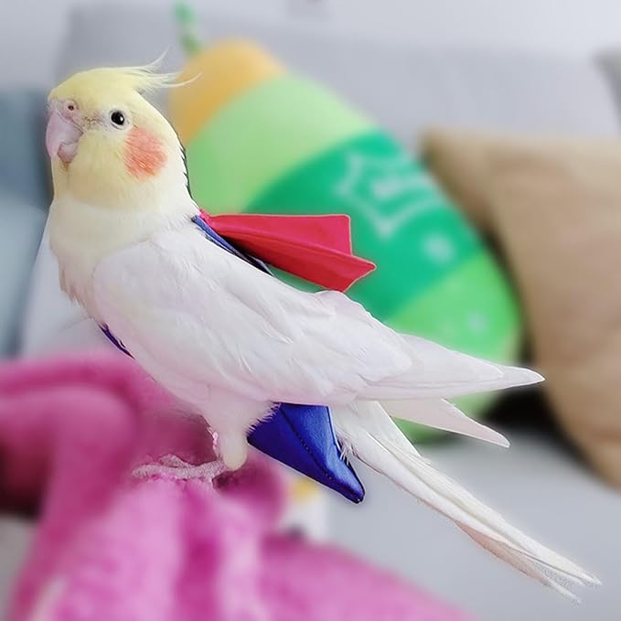 Bird Diaper Suit for Budgies Lovebirds and Cockatiels