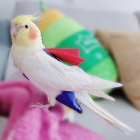 Bird Diaper Suit for Budgies Lovebirds and Cockatiels