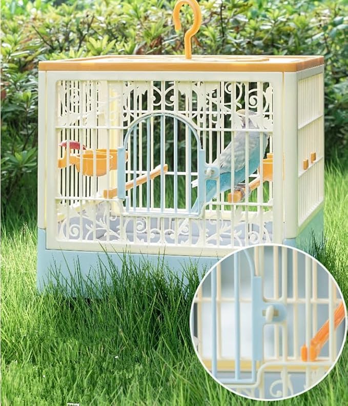 Open wire bird enclosure with clear all-around visibility