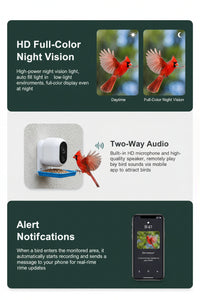 App-based viewing screen for bird feeder device