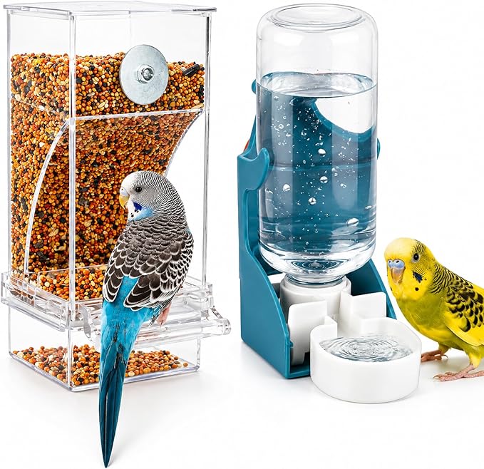 Transparent acrylic bird food dispenser for small birds